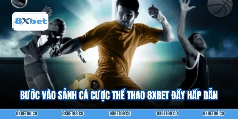 Bước vào sảnh cá cược thể thao 8XBET đầy hấp dẫn