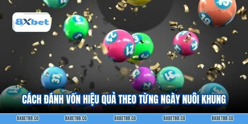 Cách đánh vốn hiệu quả theo từng ngày nuôi khung