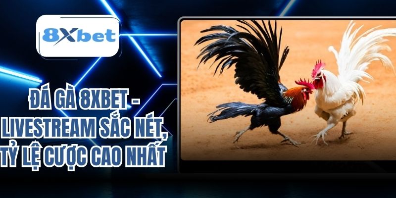 Đá Gà 8xbet