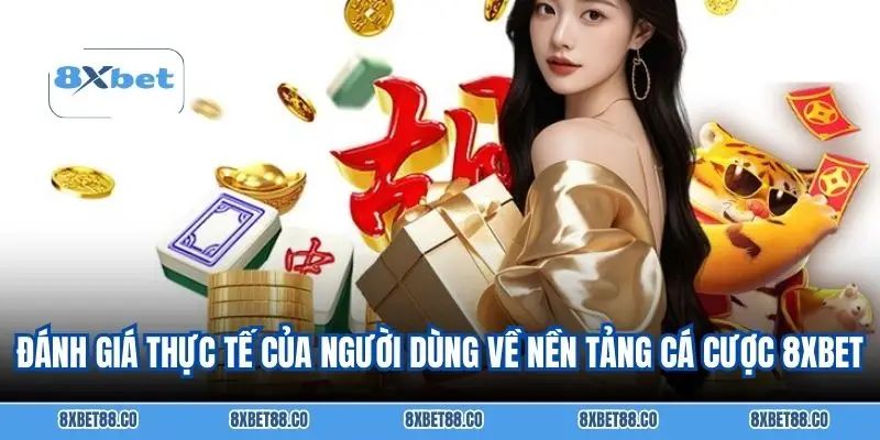 Đánh giá thực tế của người dùng về nền tảng cá cược 8XBET