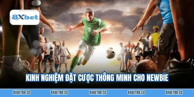 Kinh nghiệm đặt cược thông minh cho newbie