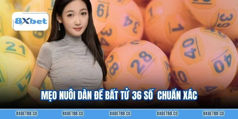 Mẹo nuôi dàn đề bất tử 36 số chuẩn xác